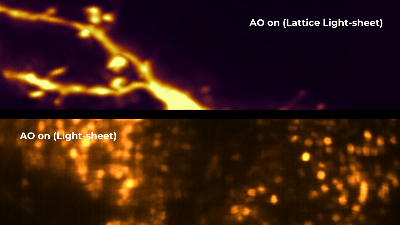 Examples of light-sheet and lattice light-sheet imaging with adaptive optics