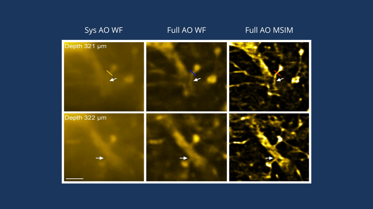 Example of Mirao 52e implementation on a super-resolution microscope