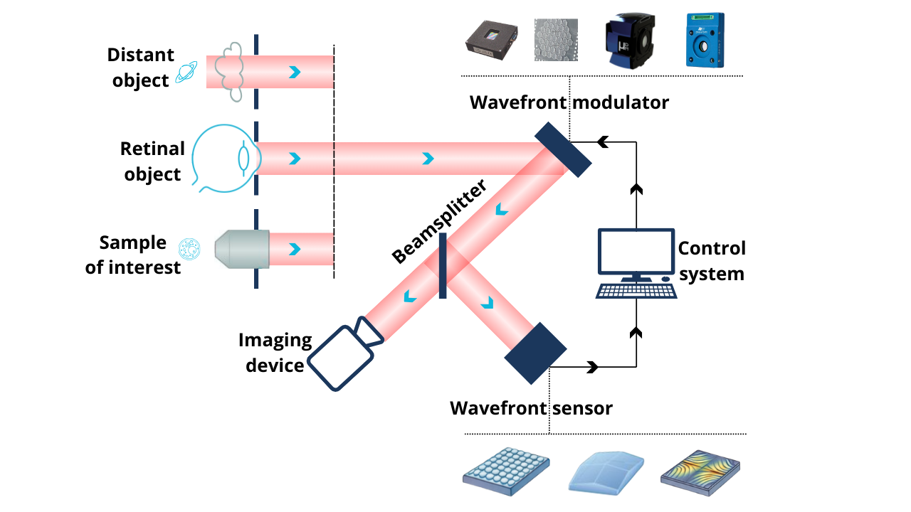 Diagram adaptive optics loop with various applications Diagram of adaptive optics loop with astronomy, ophthalmology or microscopy applications