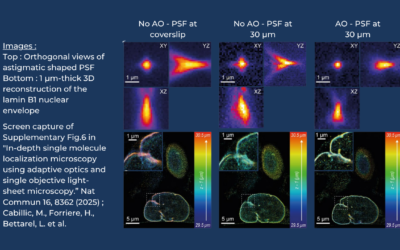 Adaptive Optics for volumetric in-depth SMLM: the soSMARt method